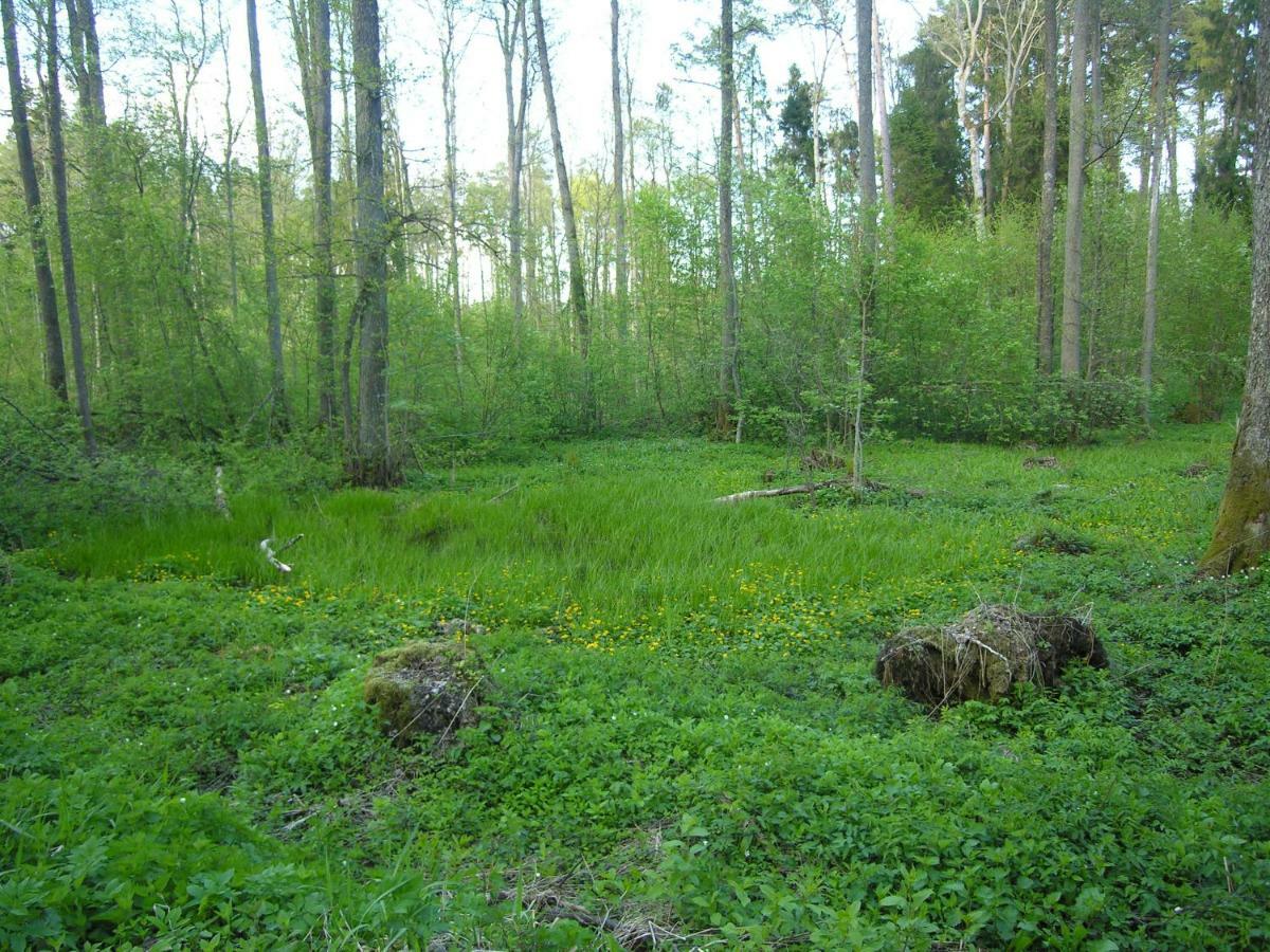 Agroturystyka Zywe Kruklanki Exterior photo